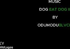 Juro, as garotas nigerianas fodem tão selvagem com bucetas pingando