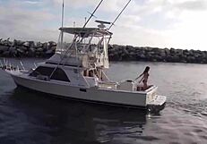 ברונטית סקסית בביקיני על סירה עם סופר שארק מציגה קימורים חמים