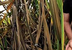 路边户外三人行，我们在公共公园发现一个年轻18+荡妇在街上跑，我们邀请她来操，你也会操她吗