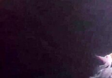 Istri BBW Sri Lanka Nge-Blow Tits Besar dalam Fucking Chubby Amatir!