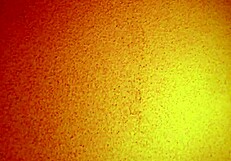 Asyalı olgun orospulara karşı aşırı arzu, ucuz heyecanlar