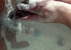 Velika pastorka igra se sa pastorkom ogromnim BBC dok roditelji nisu kod kuće