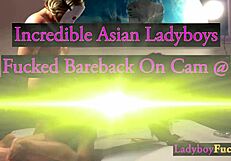 Může zvrácená asijská ladyboy uspokojit toho blázna s velkým ptákem bílého klienta?