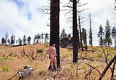 סימס כריסטיאן 05 עדכון 96 הליכה עירומה באורווה שקופה יולי 15 2025